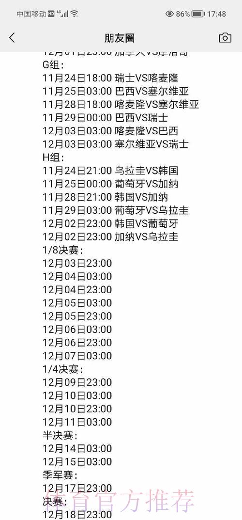 全面剖析世界杯赛事深度解析